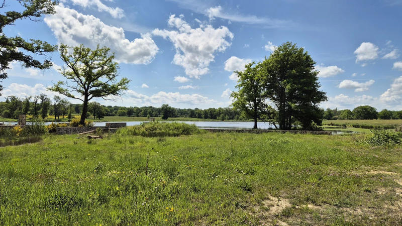 Terrain - 171 986 m²