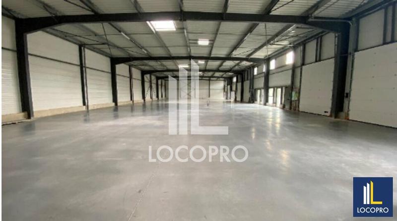 Local d'activité / Entrepôt - 1 167 m²