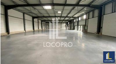 Local d'activité / Entrepôt - 1 167 m²