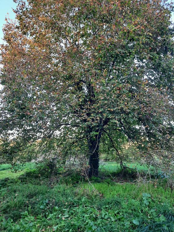 Appartement - 139 m² - 3 pièces