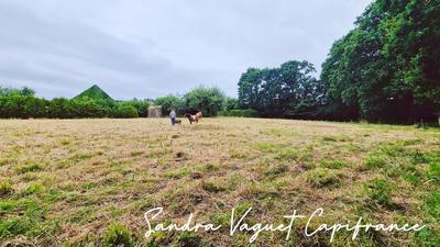 Fermette - 88 m² - 4 pièces