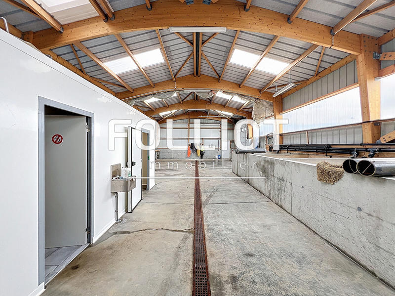 Local d'activité / Entrepôt - 213 m²