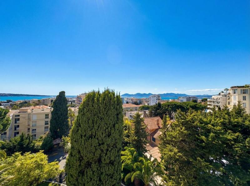 Appartement - 55 m² - 2 pièces