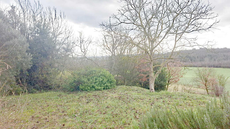 Maison - 244 m² - 11 pièces