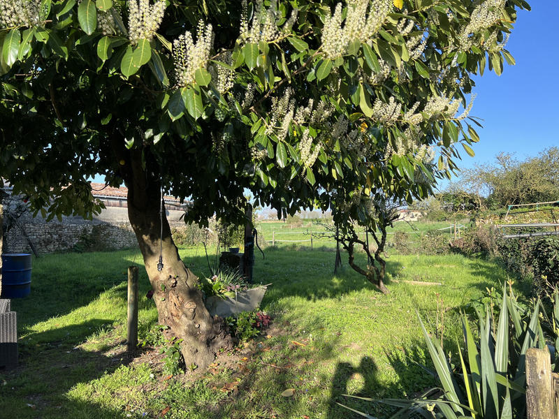 Maison de village - 110 m² - 4 pièces