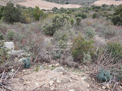 Terrain agricole - 31 187 m²