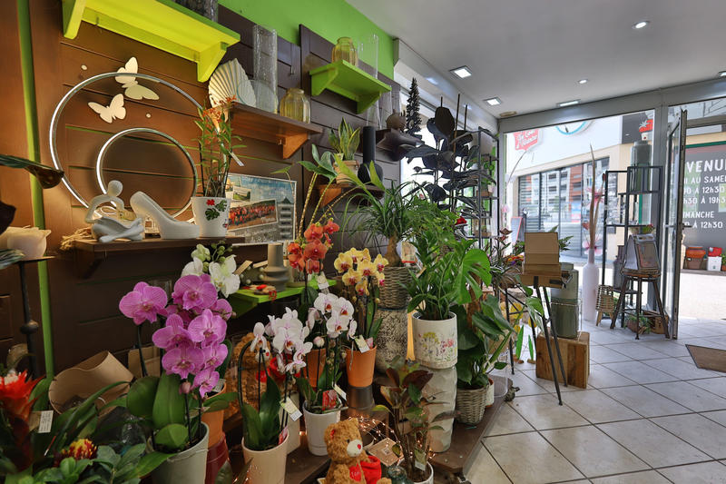 Fonds de commerce - Magasins - 30 m²