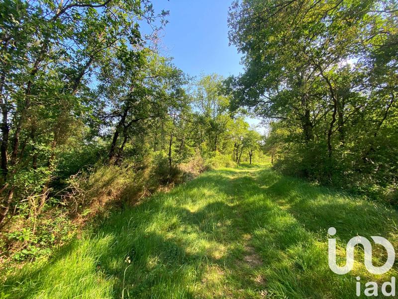 Terrain - 145 689 m²