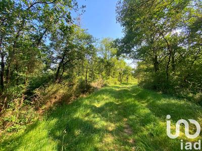 Terrain - 145 689 m²