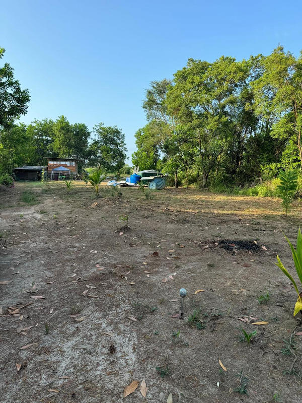 Maison de bois - 79 m² - 3 pièces