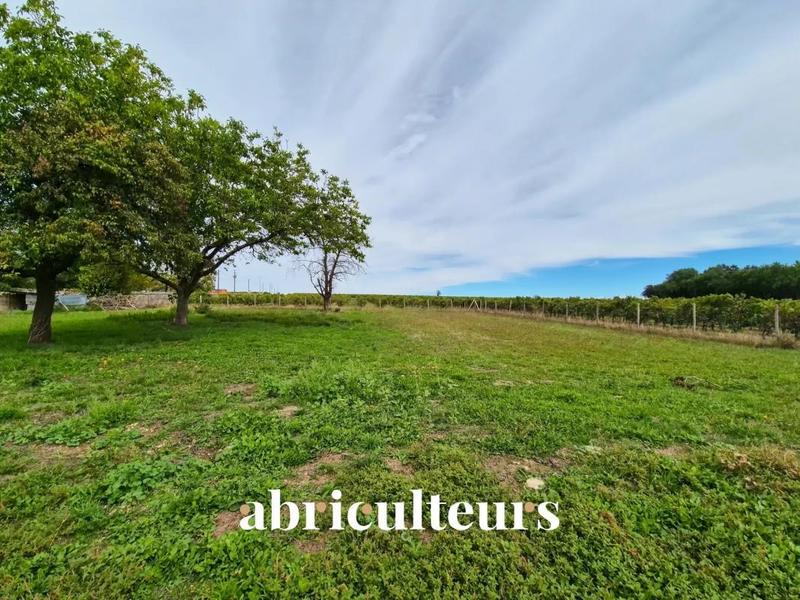 Maison - 230 m² - 6 pièces