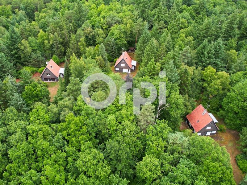 Châlet - 306 m² - 12 pièces