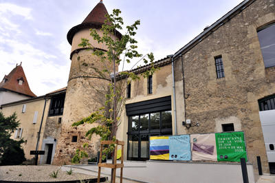 Mille Vœux Pour un Sapin