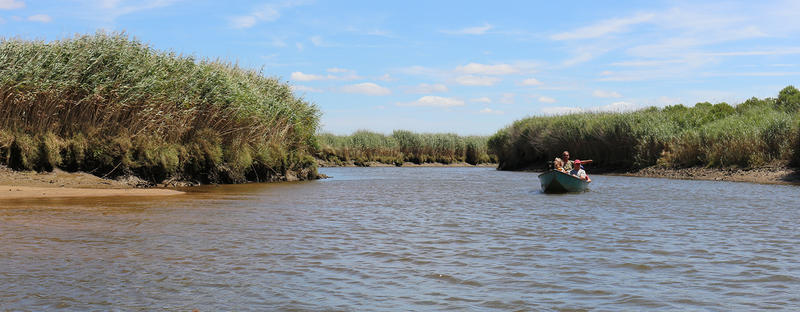 Balade grand large en galupe