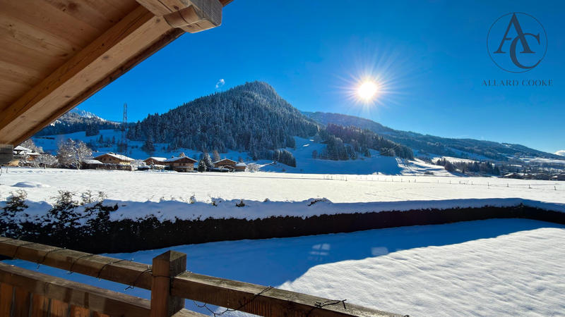 Châlet - 252 m² - 8 pièces