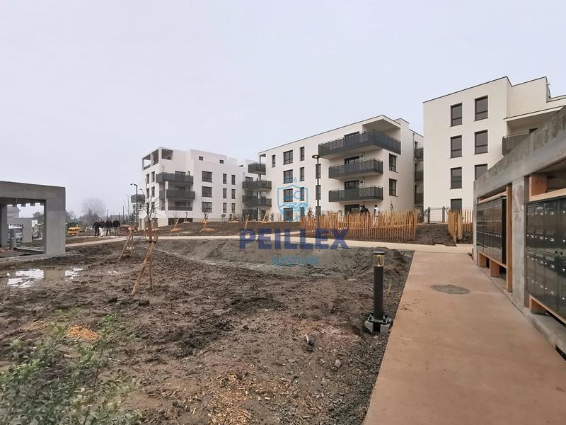 Appartement - 50 m² - 2 pièces