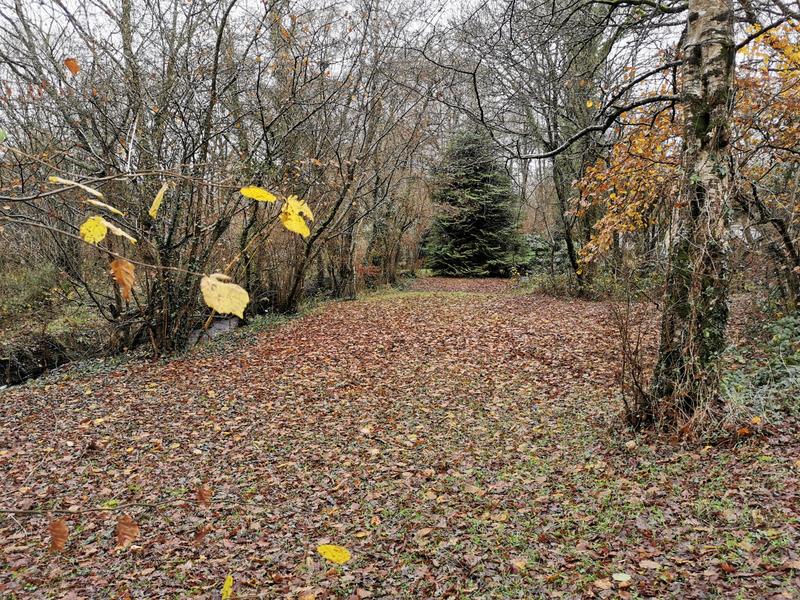 Terrain de loisirs - 18 000 m²