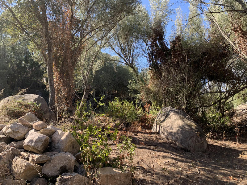 Villa - 77 m² - 4 pièces