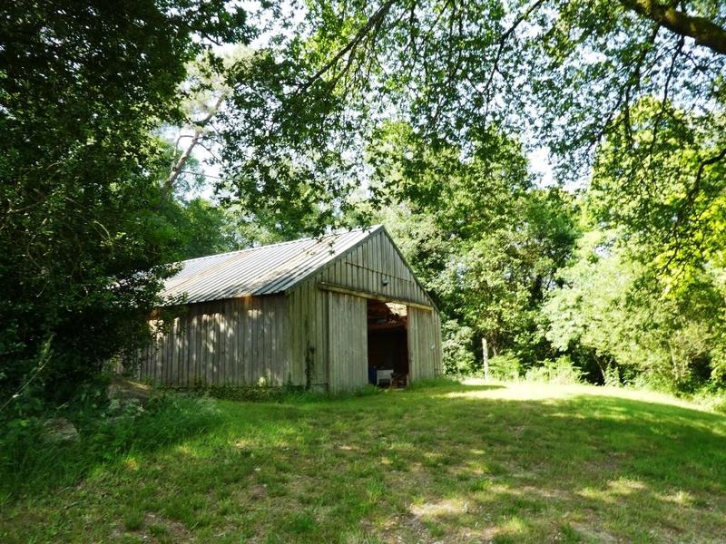 Maison en pierre - 170 m² - 5 pièces