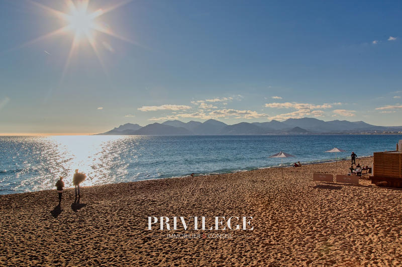 Appartement - 34 m² - 1 pièce