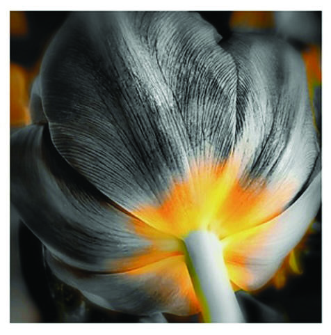 Exposition Association Esc'ale