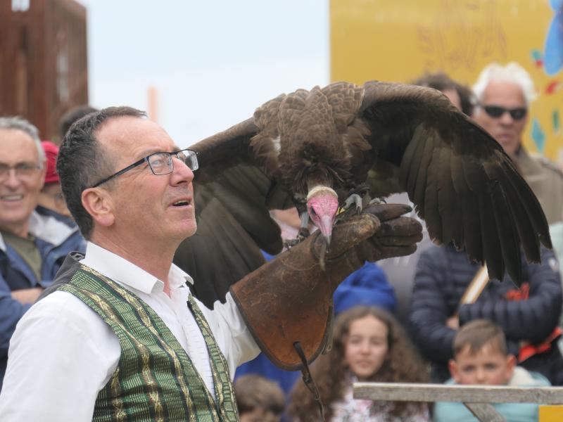 Fête des rapaces et "Spectacle de fauconnerie" à Terres d'Oiseaux
