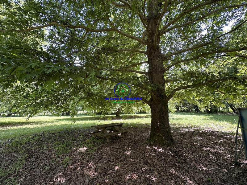 Maison - 228 m² - 8 pièces