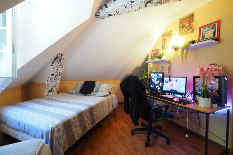 Propriété - 350 m² - 11 pièces