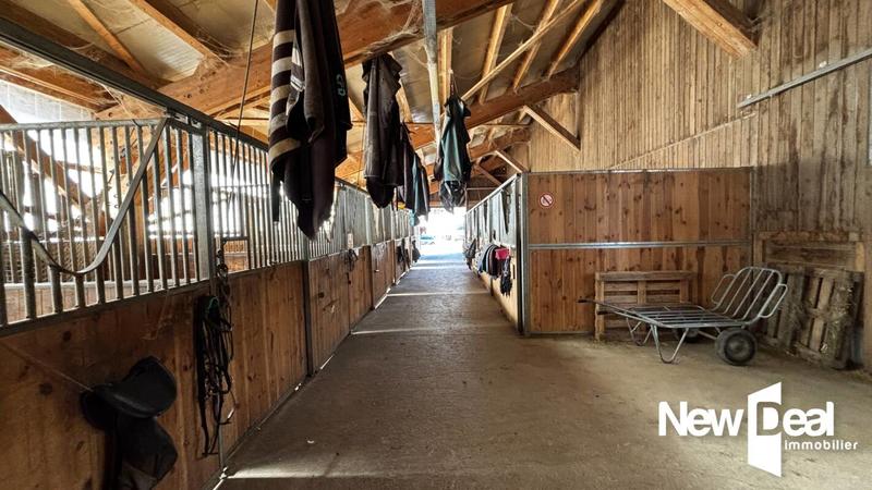 Maison de domaine équestre - 250 m² - 10 pièces