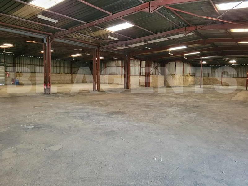 Entrepôt - 2 980 m² - 1 pièce