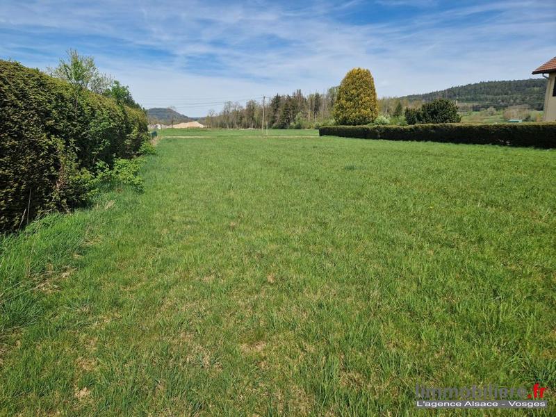Terrain - 3 010 m²