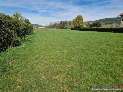 Terrain - 3 010 m²