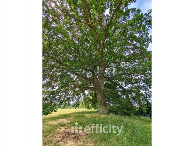 Grange - 216 m² - 8 pièces