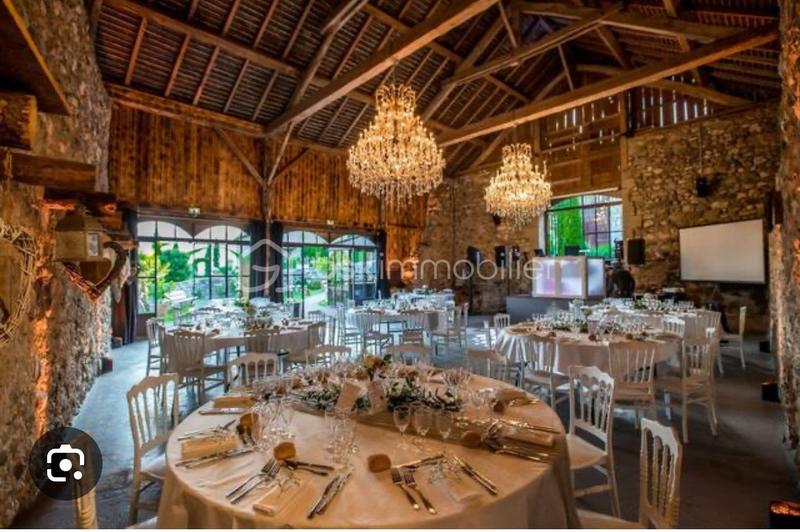 Château - 280 m² - 14 pièces