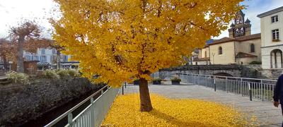 Hôtel Restaurant les Rives du Haut Salat