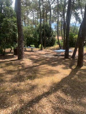 Maison - 29 m² - 4 pièces