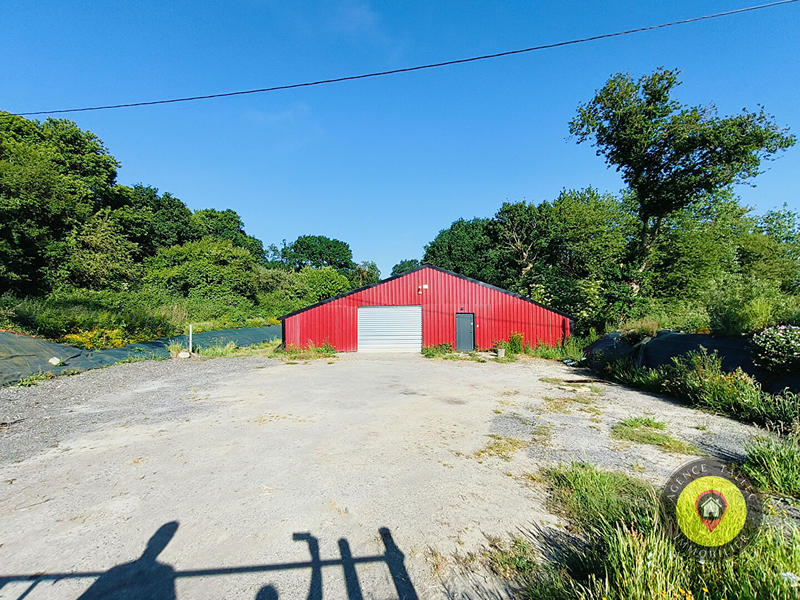 Local d'activité / Entrepôt - 1 000 m²