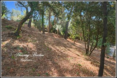 Terrain constructible - 1 200 m²