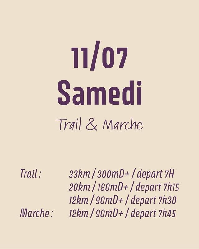 Trail et endurance équestre