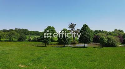 Maison de domaine équestre - 165 m² - 8 pièces