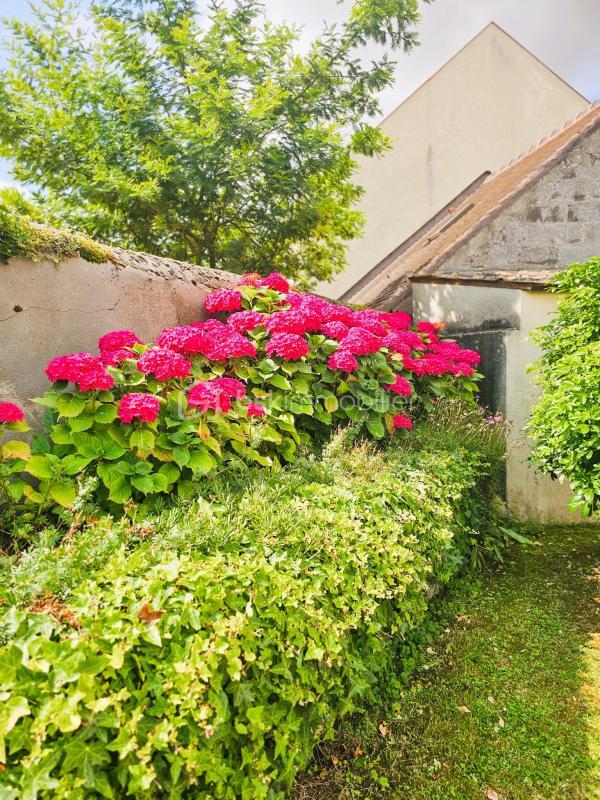 Maison ancienne - 131 m² - 6 pièces