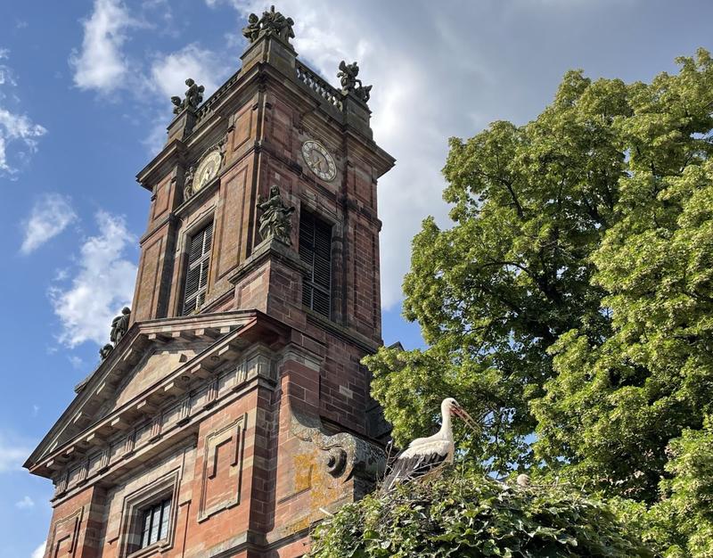 Visite libre de l'Abbatiale Saint-Pierre-et-Paul