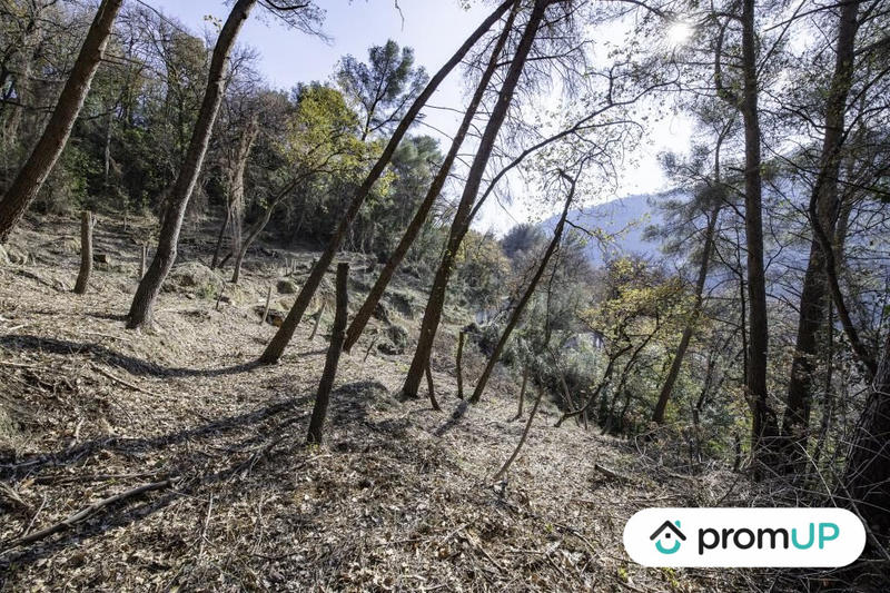 Terrain de loisirs - 2 048 m²