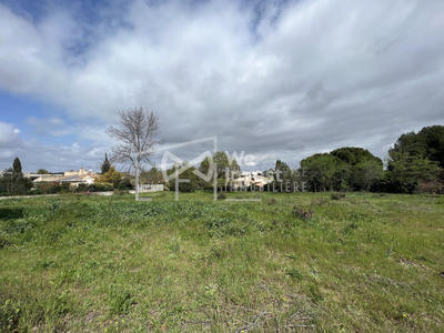 Terrain - 880 m²
