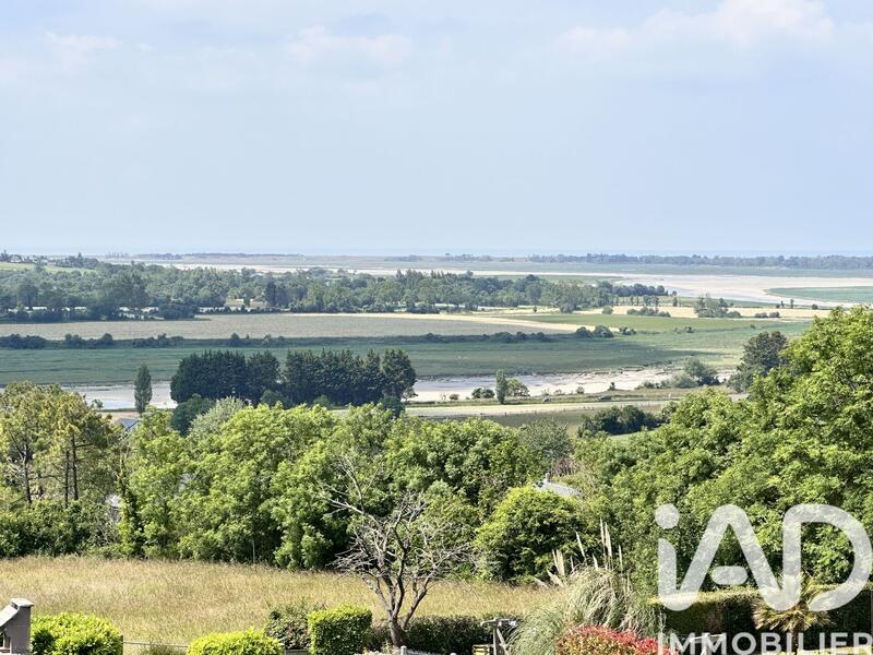 Maison de maîtres - 169 m² - 7 pièces