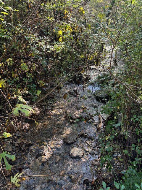 Mas - 120 m² - 5 pièces