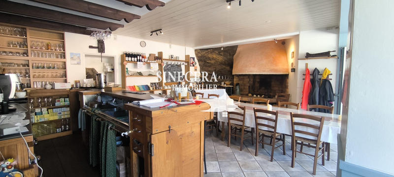 Maison - 350 m² - 17 pièces