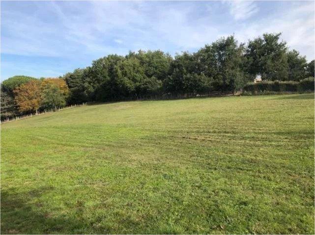 Terrain constructible - 1 446 m²