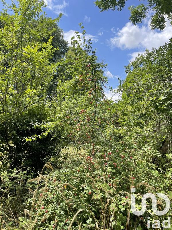 Maison - 53 m² - 4 pièces