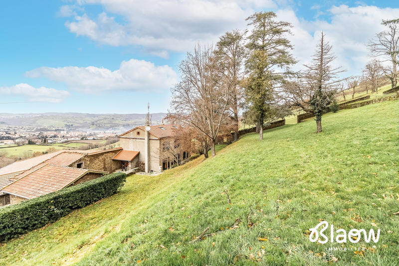 Viager - Maison - 306 m² - 9 pièces